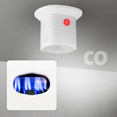 Alecto SMARTCOA10 - Détecteur de monoxyde de carbone connecté