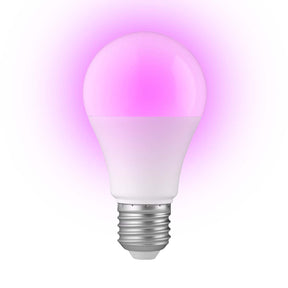 1437573|SMARTBULB10
